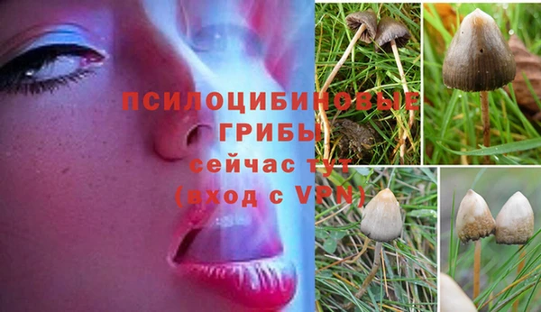 MDMA Premium VHQ Балахна