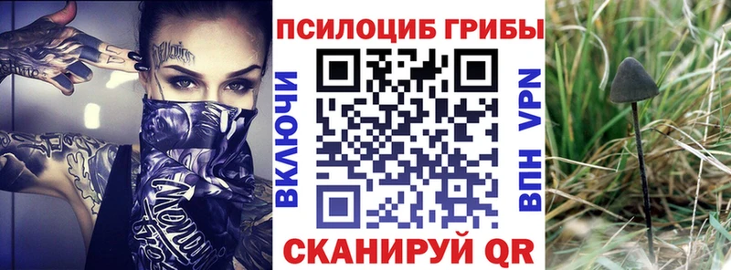 Галлюциногенные грибы Magic Shrooms  Сковородино 